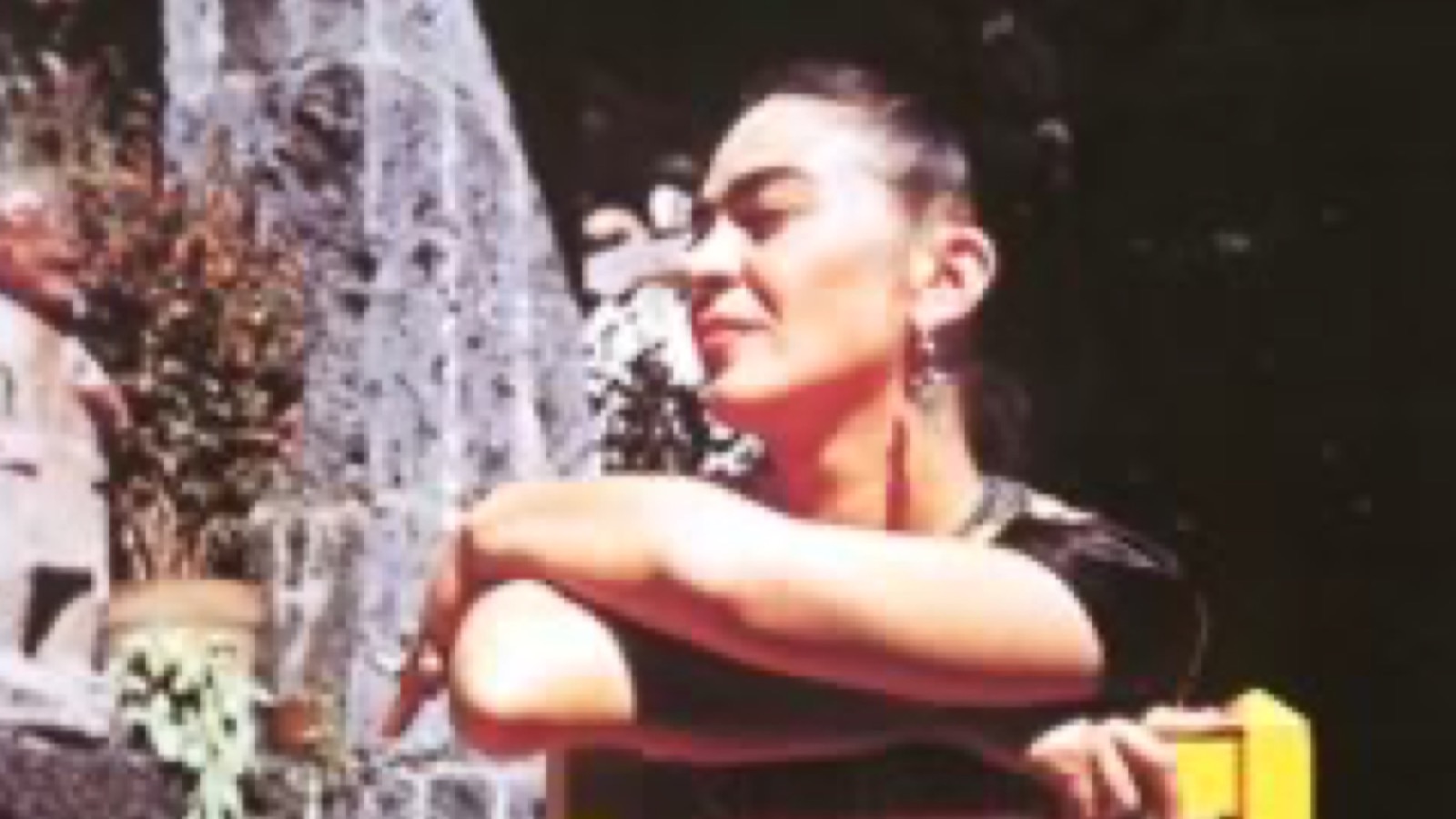 Museo Frida Kahlo